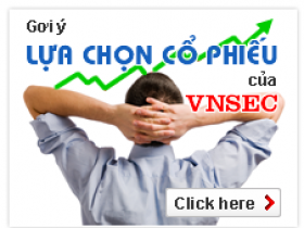 Công ty cổ phần chứng khoán Việt Nam