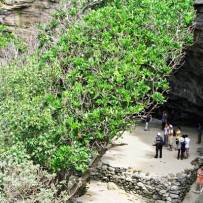 Chùa Hang, Quảng Ngãi