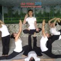 Câu Lạc Bộ Yoga 298