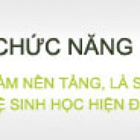 Công ty TNHH Thiên sư Việt Nam - Chi nhánh Hà Nội