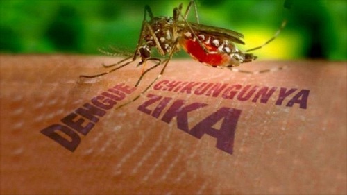 Virus Zika có tốc độ lây lan chóng mặt, hiện đã lan 31 quốc gia khắp thế giới